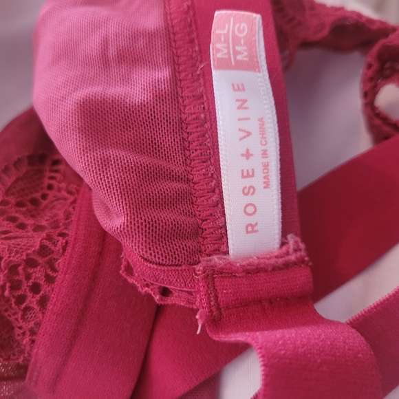 Rose + Vine Lace Halter Bralette in Pink - Picture 4 of 4